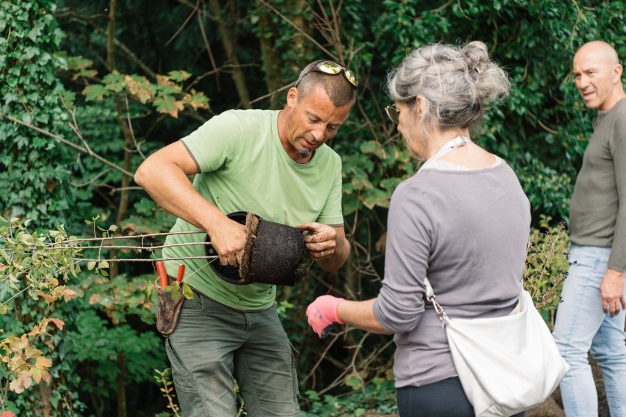 Conseils d'entretien et de plantations