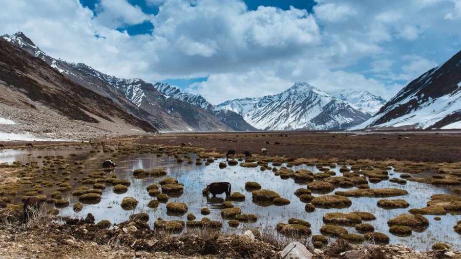 Cinéma Odéon : Cap sur le monde - le Zanskar