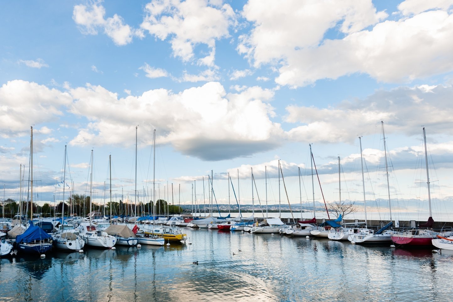 Port du Petit-Bois